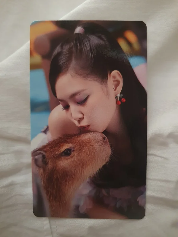[4+1] The Album Photobook Pop Up Store