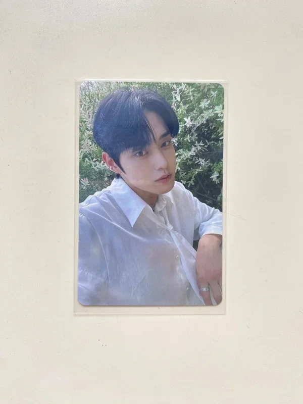 YOUTH IN THE SHADE TOWER RECORDS