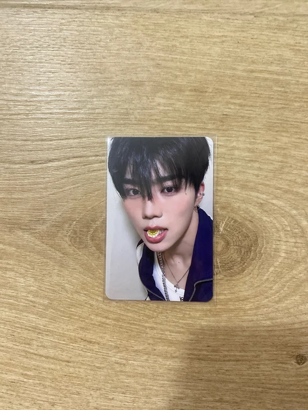 NEVER SAY NEVER Plus Chat Shop