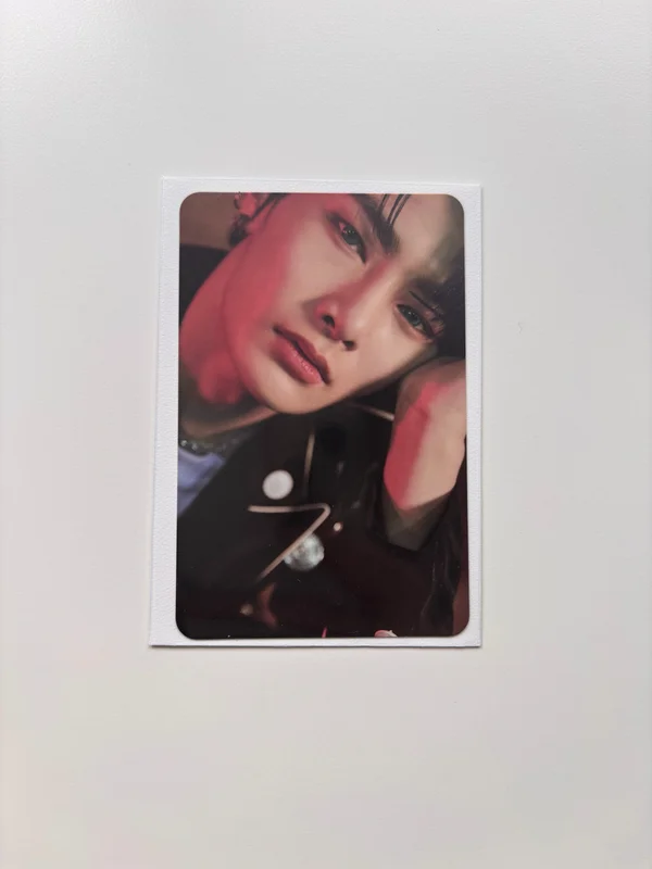 IN STANDARD VER.