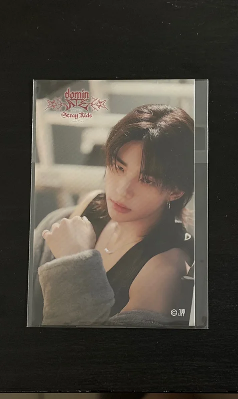 Stray Kids World Tour dominATE JAPAN RANDOM FORTUNE Sticker