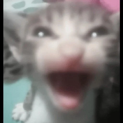 zoe_07